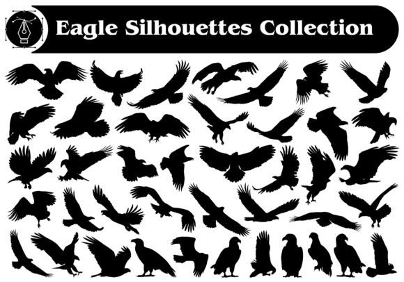 Animal Bird Eagle Silhouettes Bundle: Sharp Graphics for Modern Projects