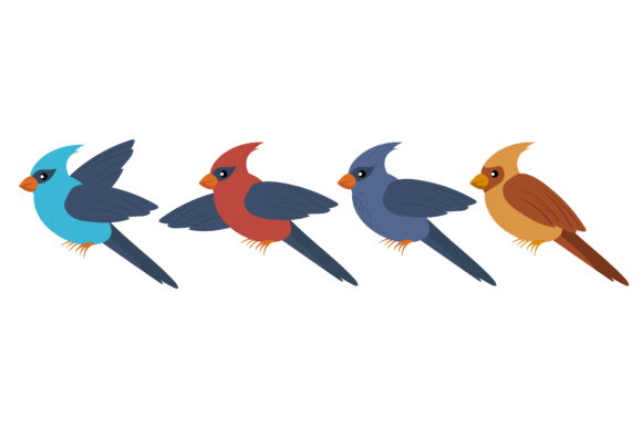 Animal Bird Graphic Collection: A Visual Toolkit for Creators