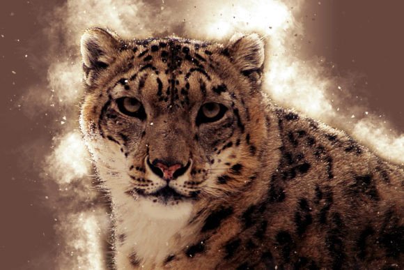 Animal Portraits Pack 14: Elevate Your Visual Projects