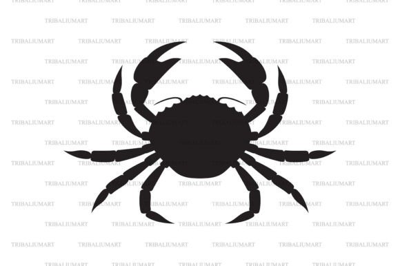 Crab Animal Font: A Deep Dive into Coastal Charm